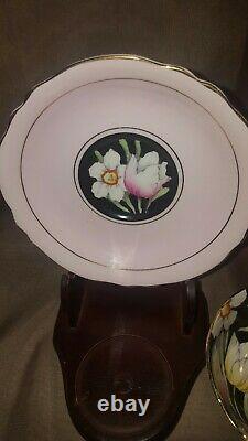 Paragon Daffodils & Tulips on Black with pink Tea Cup and Saucer Set England