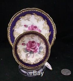 Paragon Double Warrant Cabinet Tea Cup Rich Cobalt Blue With Gold Trim