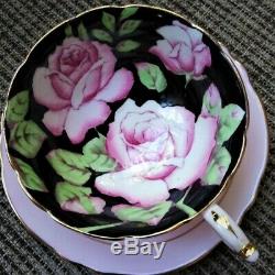 Paragon Double Warrant Hand Painted Cabbage Roses Pink Teacup & Saucer