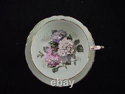 Paragon Double Warrant Hydrangeas Cabinet Tea Cup And Saucer A1427
