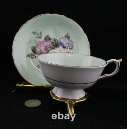 Paragon Double Warrant Hydrangeas Cabinet Tea Cup And Saucer A1427