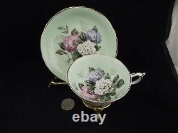 Paragon Double Warrant Hydrangeas Cabinet Tea Cup And Saucer A1427