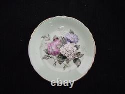 Paragon Double Warrant Hydrangeas Cabinet Tea Cup And Saucer A1427