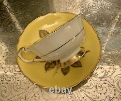 Paragon Double Warrant Yellow Tea Cup Saucer With White Rose