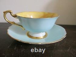Paragon England Tea Cup And Saucer Orchard Fruit Yellow Light Blue Signed