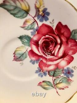 Paragon Floating Cabbage Rose Tea Cup & Saucer C. 1960-63