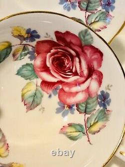 Paragon Floating Cabbage Rose Tea Cup & Saucer C. 1960-63