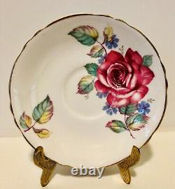 Paragon Floating Cabbage Rose Tea Cup & Saucer C. 1960-63