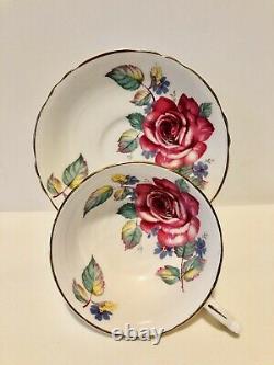 Paragon Floating Cabbage Rose Tea Cup & Saucer C. 1960-63