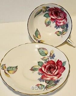 Paragon Floating Cabbage Rose Tea Cup & Saucer C. 1960-63