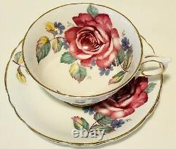 Paragon Floating Cabbage Rose Tea Cup & Saucer C. 1960-63