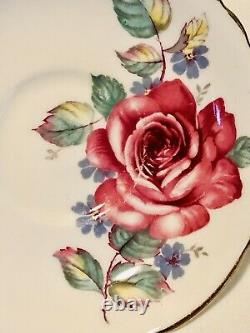 Paragon Floating Cabbage Rose Tea Cup & Saucer C. 1960-63