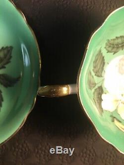 Paragon Green Tea Cup And Saucer Handpainted White Daisies/poppies Floral Cup