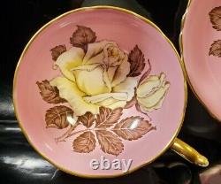 Paragon Large Cabbage Floating Rose Pink Background Teacup & Saucer Set Vintage