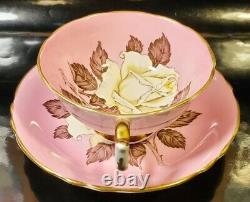 Paragon Large Cabbage Floating Rose Pink Background Teacup & Saucer Set Vintage