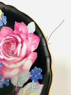 Paragon Pink Cabbage Roses Black Teacup and Saucer DOUBLE Warrant