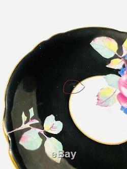 Paragon Pink Cabbage Roses Black Teacup and Saucer DOUBLE Warrant