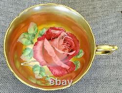 Paragon RARE! Antique Teacup & Saucer Heavy Gold with HUGE Floating Cabbage Rose