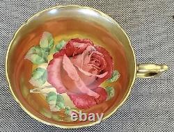 Paragon RARE! Antique Teacup & Saucer Heavy Gold with HUGE Floating Cabbage Rose