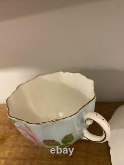 Paragon RARE Bone China Teacup Celadon Green Large Floating Cabbage Rose RARE