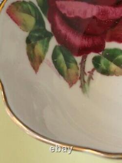 Paragon Reg Johnson signed Pastel Yellow Dark Red Rose Teacup Saucer Hand Number