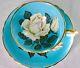 Paragon Scarce Fancy Turquoise Humongous White Rose Fine Bone China Cup & Saucer