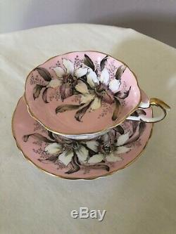 Paragon Tea Cup Saucer Large Pink White Orchid Rare