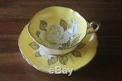 Paragon White Large Cabbage Rose Yellow Teacup Tea Cup Saucer double warrant