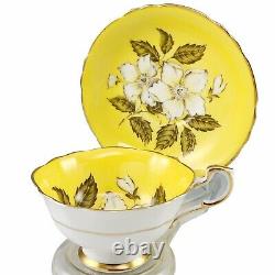 Paragon Yellow Wild Rose Tea Cup Saucer Teacup Bone China England A401 Vintage