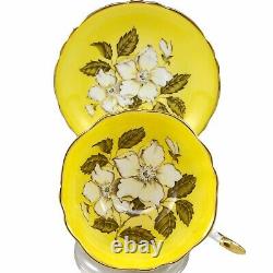 Paragon Yellow Wild Rose Tea Cup Saucer Teacup Bone China England A401 Vintage