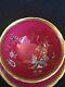 Paragon Royal Deep Red Chinoiserie Garden Scene Tea Cup And Saucer