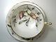 Paragon Tea Cup And Saucer Orchid Double Warrant, Mint Condition