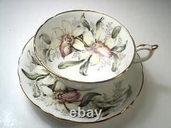 Paragon tea cup and saucer ORCHID Double Warrant, Mint Condition