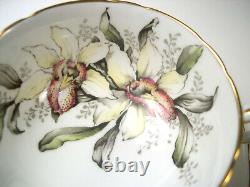 Paragon tea cup and saucer ORCHID Double Warrant, Mint Condition