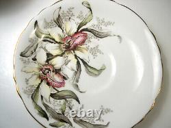 Paragon tea cup and saucer ORCHID Double Warrant, Mint Condition