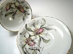 Paragon tea cup and saucer ORCHID Double Warrant, Mint Condition