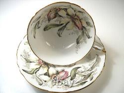 Paragon tea cup and saucer ORCHID Double Warrant, Mint Condition