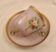 Paris Tea Cup & Saucer, Hand Painted Flowers, Lavender Colored