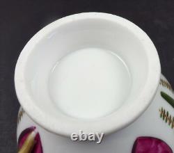 Paris Tea Cup & Saucer, Possibly Dagoty
