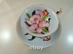 Pink Orchid Baby Blue Pattern Tea Cup & Saucer Set Footed By Merit China Japan