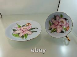 Pink Orchid Baby Blue Pattern Tea Cup & Saucer Set Footed By Merit China Japan