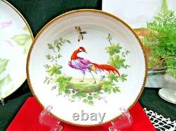 Porcelaine De Paris tea cup and saucer Trembleuse painted bird teacup Chelsea