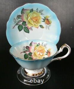 Queen Anne Large Cabbage Roses Light Blue Gold Rimmed Teacup and Saucer Set