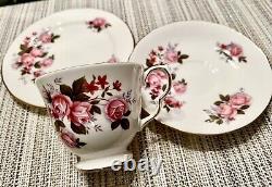 Queen Anne Roses Tea Cup, Saucers, Bread Plate. Bone China. Vintage