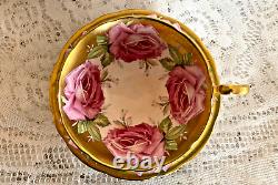 RARE Anysley Pink & Gold Cabbage Rose Tea Cup & Saucer C927 England