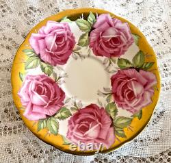 RARE Anysley Pink & Gold Cabbage Rose Tea Cup & Saucer C927 England