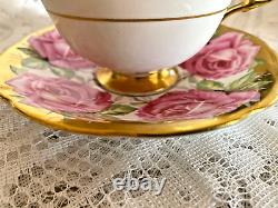 RARE Anysley Pink & Gold Cabbage Rose Tea Cup & Saucer C927 England