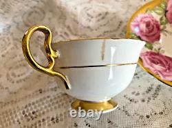 RARE Anysley Pink & Gold Cabbage Rose Tea Cup & Saucer C927 England