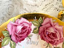 RARE Anysley Pink & Gold Cabbage Rose Tea Cup & Saucer C927 England