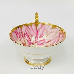 RARE Aynsley Pink Chrysanthemum & Butterfly Gold Tea Cup & Saucer England HTF
